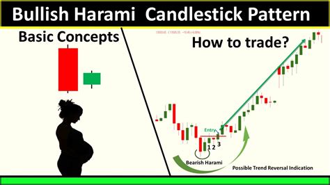 Meaning of Harami in Hindi .